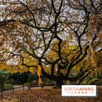 Le Jardin Alpin caché du Jardin des Plantes