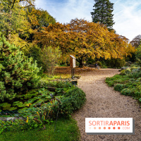 Le Jardin Alpin caché du Jardin des Plantes