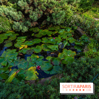 Le Jardin Alpin caché du Jardin des Plantes