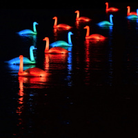 Annonce Lumières en Seine 2022