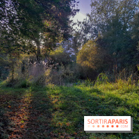 Issy - parc de l'île Saint Germain et Tour aux figures 