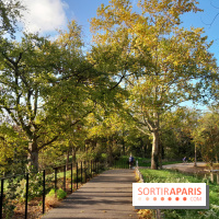 Issy - parc de l'île Saint Germain et Tour aux figures 