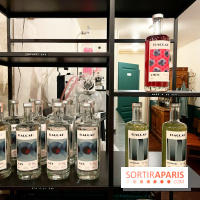 Atelier création de gin à la distillerie Baccae