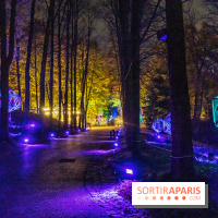 Lumières en Seine 2022