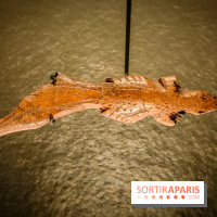 Arts et Préhistoire, l'exposition de peintures rupestres au Musée de l'Homme - nos photos