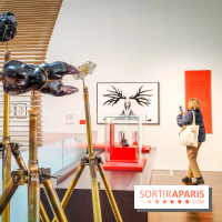 Arts et Préhistoire, l'exposition de peintures rupestres au Musée de l'Homme - nos photos