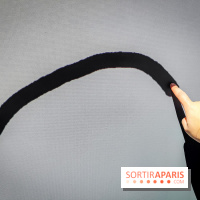 Arts et Préhistoire, l'exposition de peintures rupestres au Musée de l'Homme - nos photos