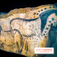 Arts et Préhistoire, l'exposition de peintures rupestres au Musée de l'Homme - nos photos