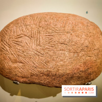 Arts et Préhistoire, l'exposition de peintures rupestres au Musée de l'Homme - nos photos