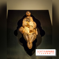 Arts et Préhistoire, l'exposition de peintures rupestres au Musée de l'Homme - nos photos