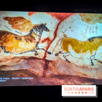 Arts et Préhistoire, l'exposition de peintures rupestres au Musée de l'Homme - nos photos