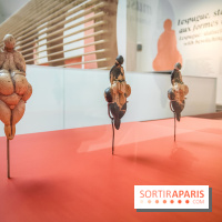 Arts et Préhistoire, l'exposition de peintures rupestres au Musée de l'Homme - nos photos