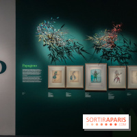 Musicanimale, l'exposition à la Philharmonie