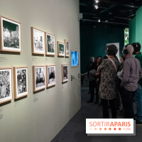 Musicanimale, l'exposition à la Philharmonie