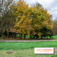 Abbaye de Maubuisson visuels