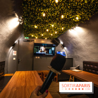 Dimdimsum Paris, le restaurant de vapeurs - karaoké