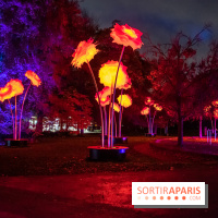 Illuminations de Noël 2022 : les Sentiers Lumineux de Noël au Parc Floral - nos photos