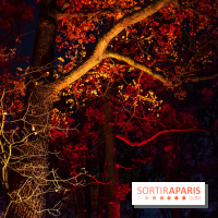 Illuminations de Noël 2022 : les Sentiers Lumineux de Noël au Parc Floral - nos photos