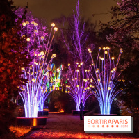 Illuminations de Noël 2022 : les Sentiers Lumineux de Noël au Parc Floral - nos photos
