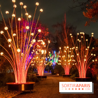 Illuminations de Noël 2022 : les Sentiers Lumineux de Noël au Parc Floral - nos photos