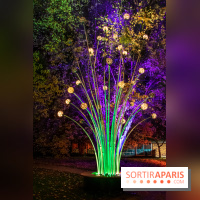 Illuminations de Noël 2022 : les Sentiers Lumineux de Noël au Parc Floral - nos photos