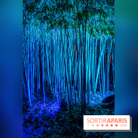 Illuminations de Noël 2022 : les Sentiers Lumineux de Noël au Parc Floral - nos photos