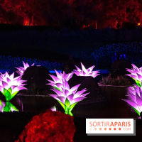 Illuminations de Noël 2022 : les Sentiers Lumineux de Noël au Parc Floral - nos photos