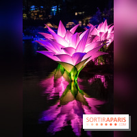 Illuminations de Noël 2022 : les Sentiers Lumineux de Noël au Parc Floral - nos photos