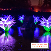 Illuminations de Noël 2022 : les Sentiers Lumineux de Noël au Parc Floral - nos photos