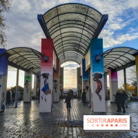 Visuels - Parc de Belleville en automne 