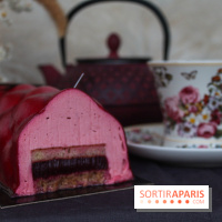 Les bûches de Noël 2022 d'oh oui!, la pâtisserie sans sucres IG bas - buche fruits rouges