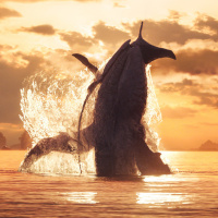 Avatar, la voie de l'eau