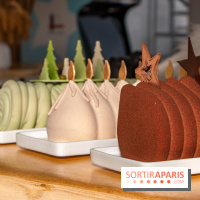 Bûches de Noël Candy Paradis 2022