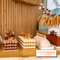 Bûches de Noël et Number Cake Candy Paradis 2022