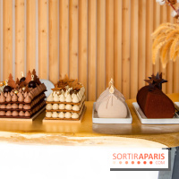 Bûches de Noël et Number Cake Candy Paradis 2022