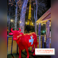 Place Suisse à Paris, nos photos