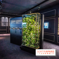 Exposition Le Grand Numéro de Chanel au Grand Palais Éphémère à Paris - senteurs - rose