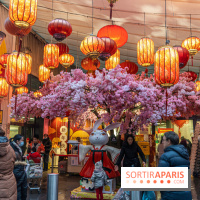 Paris Food Tour spécial 13e, quartier chinois - Tang Frères