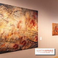 Picasso et la Préhistoire, les photos de l'exposition au Musée de l'Homme