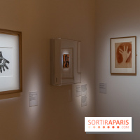 Picasso et la Préhistoire, les photos de l'exposition au Musée de l'Homme - empreintes - main de Picasso