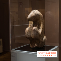 Picasso et la Préhistoire, les photos de l'exposition au Musée de l'Homme