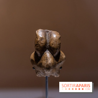 Picasso et la Préhistoire, les photos de l'exposition au Musée de l'Homme