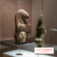 Picasso et la Préhistoire, les photos de l'exposition au Musée de l'Homme