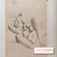 Picasso et la Préhistoire, les photos de l'exposition au Musée de l'Homme