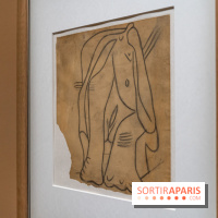 Picasso et la Préhistoire, les photos de l'exposition au Musée de l'Homme