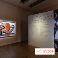 Picasso et la Préhistoire, les photos de l'exposition au Musée de l'Homme
