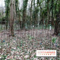 Le Hangar Y à Meudon, nos photos - IMG 8863