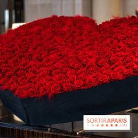 Saint-Valentin visuel saint Valentin  -  A7C2620