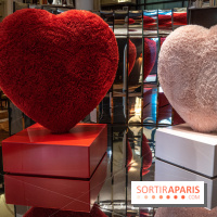 Saint-Valentin visuel saint Valentin  -  A7C2595