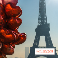 Saint-Valentin visuel saint Valentin  -  A7C2904